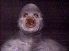 [Flukeman]