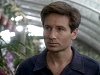 [Mulder]